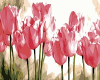 Holenderskie pole tulipanów - Malowanie po numerach