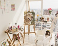 Pies golden retriever - Malowanie po numerach