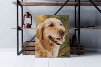 Pies golden retriever - Malowanie po numerach