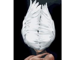 Portret skrzydlatej kobiety - Malowanie po numerach