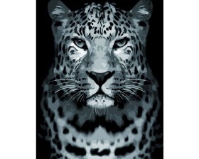 Dziki leopard - Malowanie po numerach