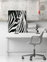 Zebra - Malowanie po numerach