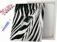 Zebra - Malowanie po numerach