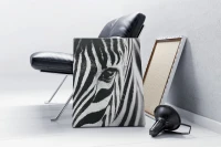 Zebra - Malowanie po numerach
