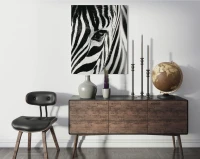 Zebra - Malowanie po numerach