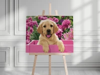 Biszkoptowy labrador - Malowanie po numerach