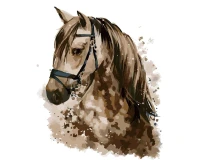 Portret konia - Malowanie po numerach