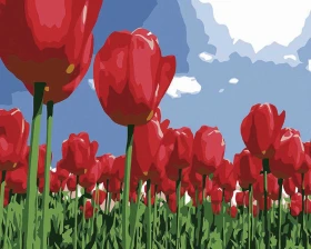 Pole czerwonych tulipanów - Malowanie po numerach