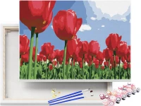 Pole czerwonych tulipanów - Malowanie po numerach
