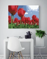 Pole czerwonych tulipanów - Malowanie po numerach