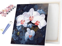 Biały storczyk orchidea - Malowanie po numerach 