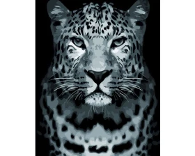 Dziki leopard - Malowanie po numerach